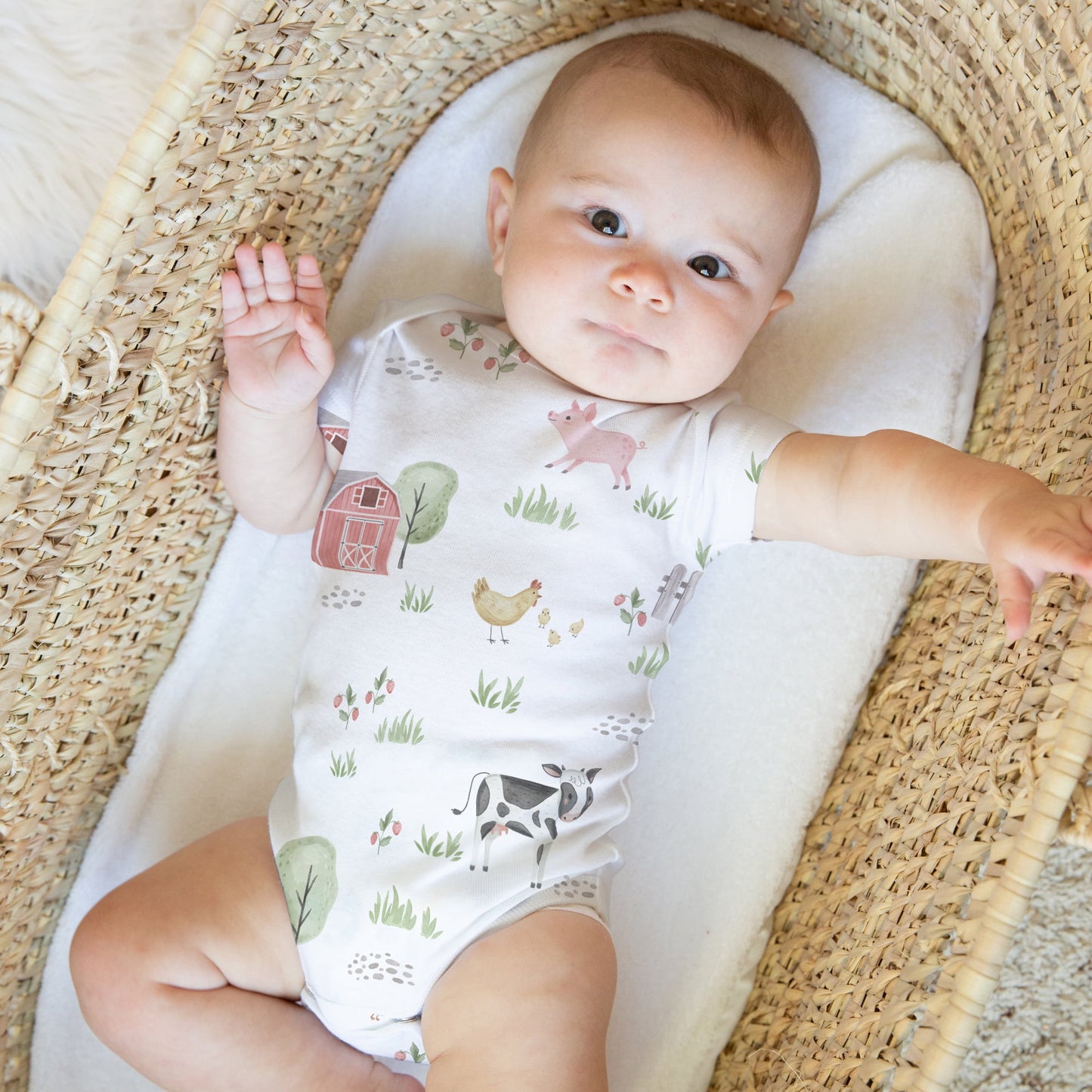 Sweet Jojo Designs Farm Animals Multicolor 0-6M Baby Clothes Bodysuits
