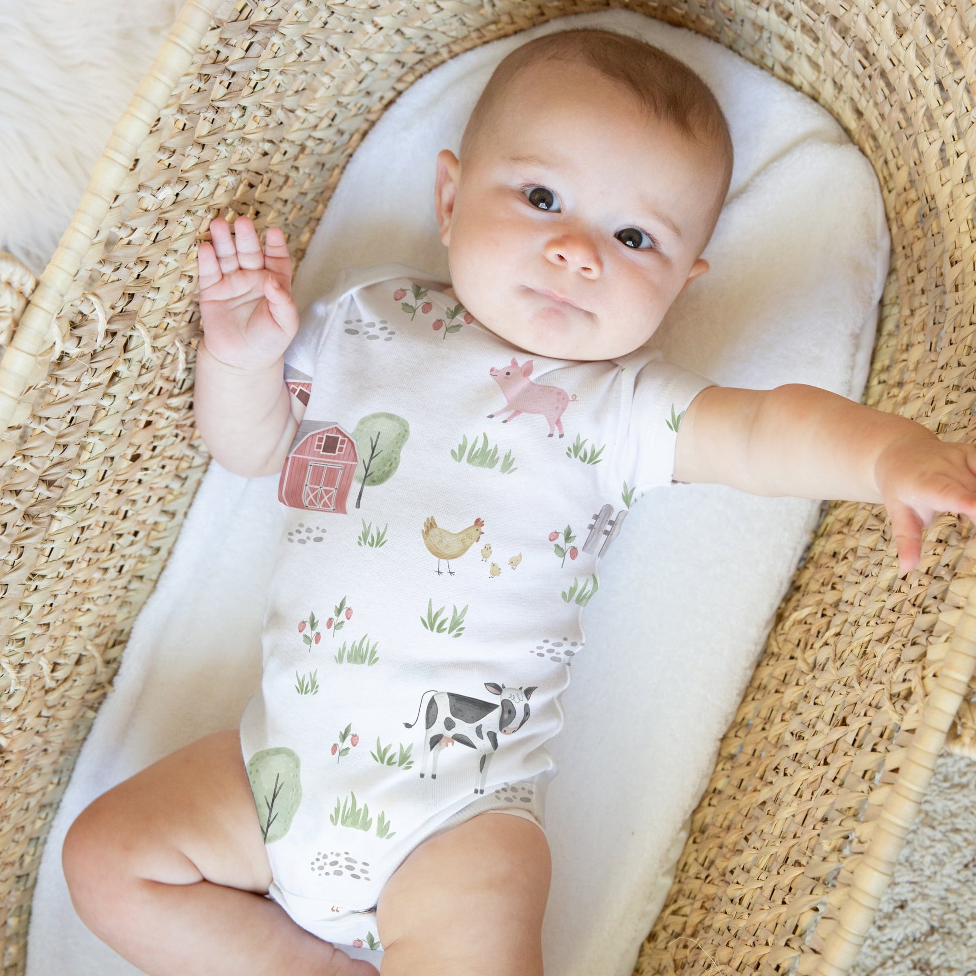 Sweet Jojo Designs Farm Animals Multicolor 0-6M Baby Clothes Bodysuits