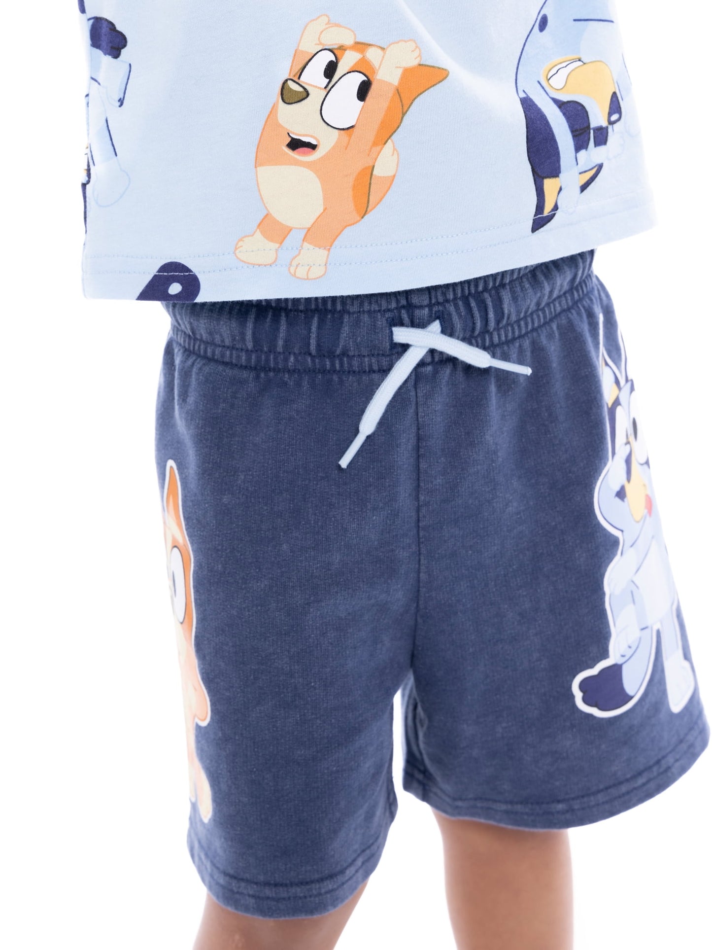 Bluey Toddler Graphic Tee and Shorts Set, 2-Piece, Sizes 12M-5T